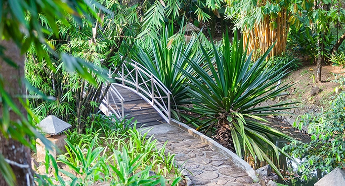 Beyond Eco Living, Adimali, Idukki, Kerala