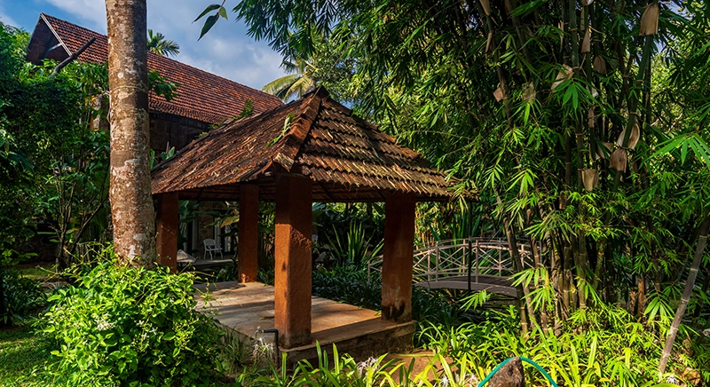 Beyond Eco Living, Adimali, Idukki, Kerala